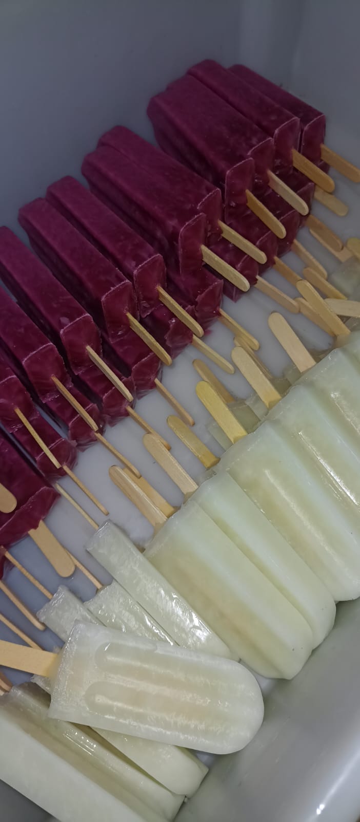 Picolés artesanais de frutas